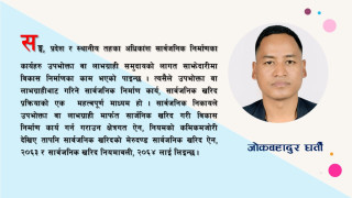 विकासमा जनसहभागीता, समस्या र सुझाव