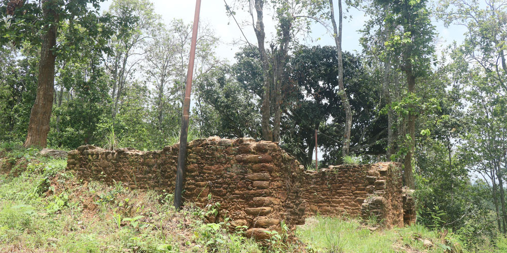 खण्डहर बन्यो,भानु जन्मस्थल