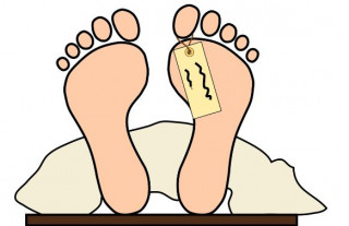 रुखबाट लडेर वृद्धको मृत्यु