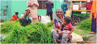 टाँगा  चल्न छाड्यो, घाँस पनि बिक्री हुन छाड्यो