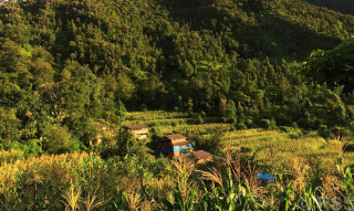 बसाइँसराइले ‘बिरामीलाई अस्पताल लैजाने मानिस पनि पाउन मुस्किल पर्न थाल्यो’