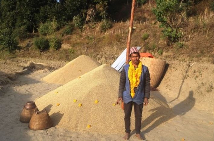 दाङमा धान उत्पादन बढ्यो