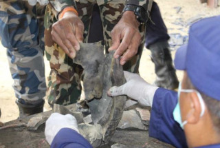 ग्यारेजमा भएको विस्फोटमा घाइते भएका थप एकको  मृत्यु