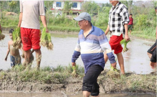 रोपाइँमा व्यस्त विप्लव