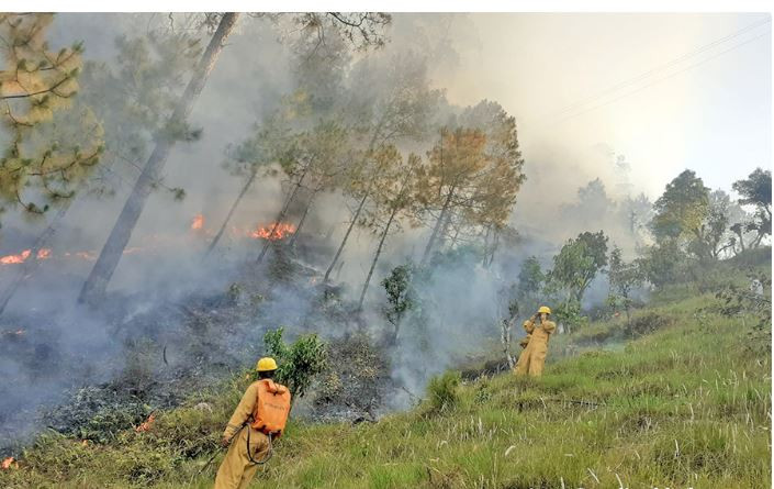 डढेलो निभाउने क्रममा गम्भीर घाइते भएका एक सैनिकको निधन