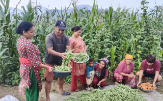 खडेरीले पनि रोकेन मेहनती किसानलाई