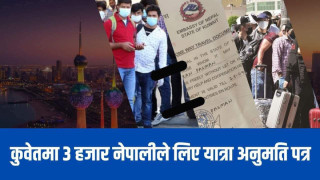 कुवेतले जारी गरेको आममाफीमा ३ हजार नेपालीले लिए यात्रा अनुमति