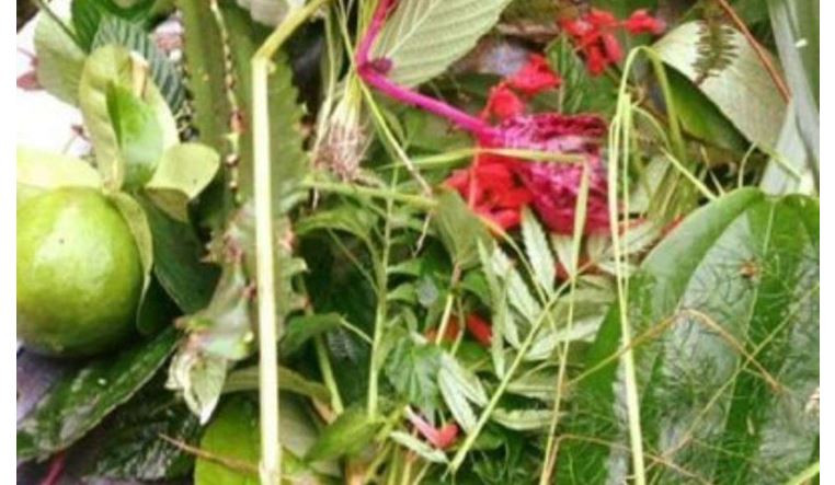 आज साउने सङ्क्रान्ति
