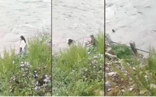 दार्चुलाकी किशोरी महाकाली नदीमा हाम फालेर बेपत्ता