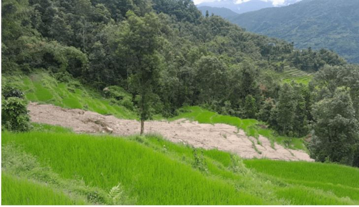 पहिरोले धानबालीसहितको खेत बगाएपछि कृषक चिन्तित