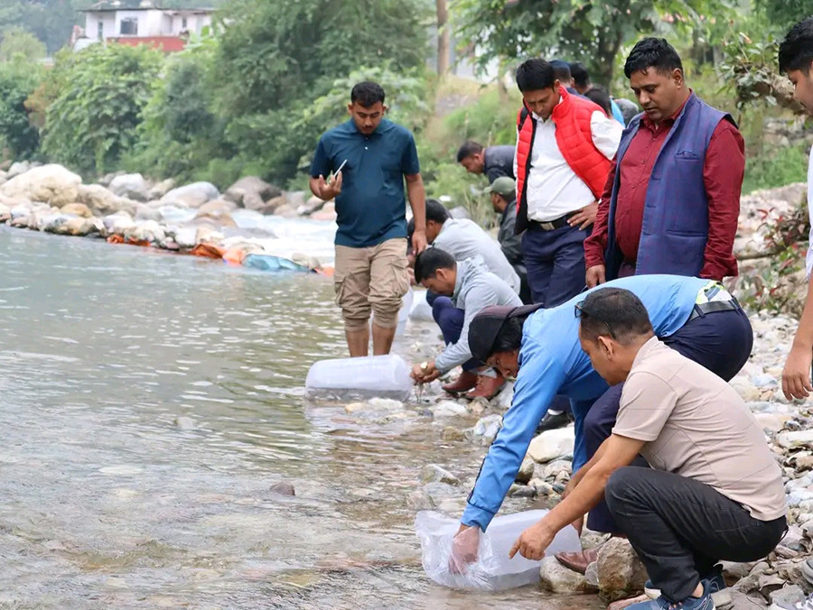 गुल्मीको हुग्दी खोलामा १० हजार भुरा माछा छोडियो