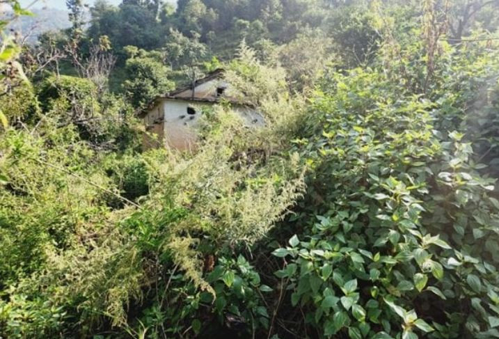 बसाइँसराइले बरेङमा बस्ती सुनसान