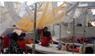 बङ्गलादेशमा डेंगुका बिरामीको संख्या ५० हजार नाघ्यो, २६४ जनाको मृत्यु