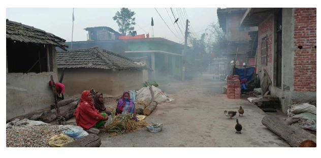 शीतलहरले तराईमा जनजीवन प्रभावित
