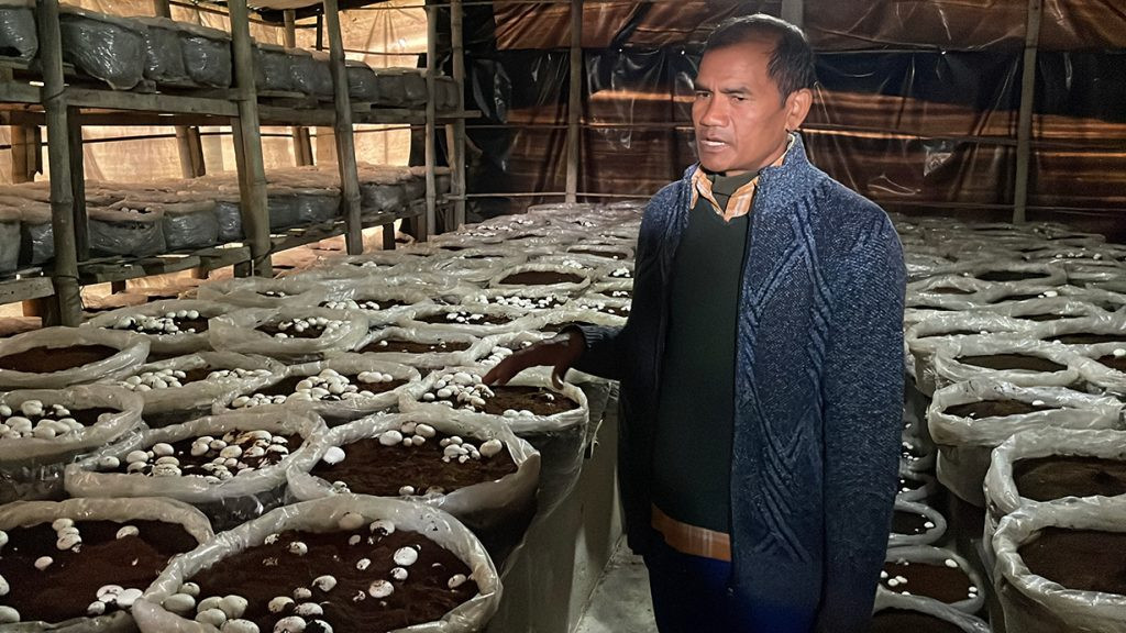 वडाध्यक्षले युट्युवबाट सिकेको उद्यम