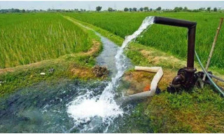 तनहुँकाे चार हेक्टर क्षेत्रफलमा थप सिँचाइ सुविधा विस्तार