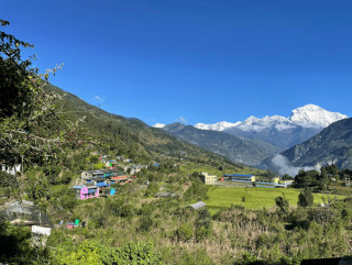 बेनी नगरपालिका–९ तोरीपानीमा पाँचघरमा ‘होमस्टे’ सञ्चालन