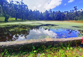 बागलुङमा ताल सुक्दै गएपछि संरक्षणमा चुनौती