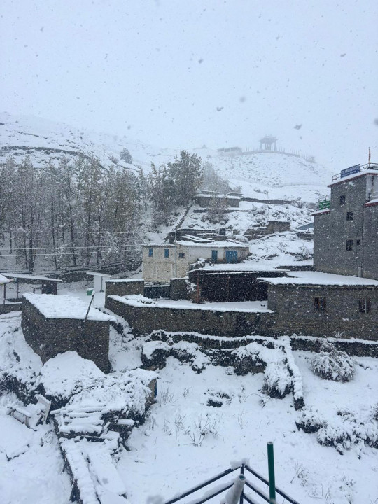 मुक्तिनाथ क्षेत्रमा भारी हिमपात