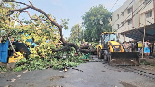 उत्तर प्रदेशमा हावाहुरीले ९४ जनाको मृत्यु